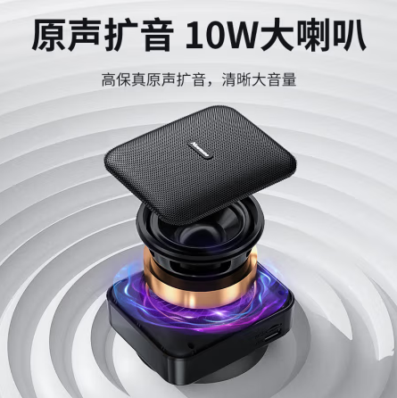 国产   扩音器
